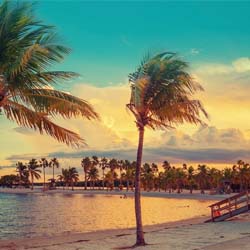 Miami